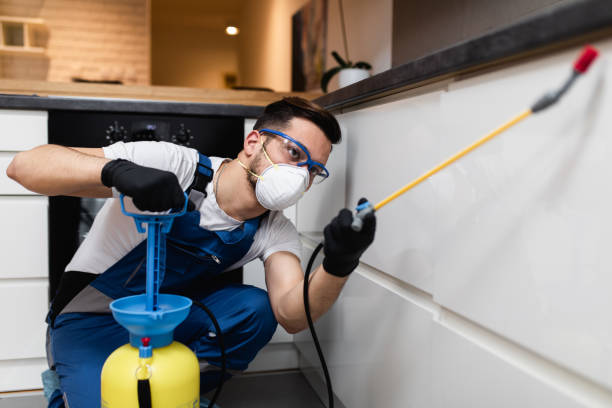 Best Termite Control Services  in Waldorf, MD