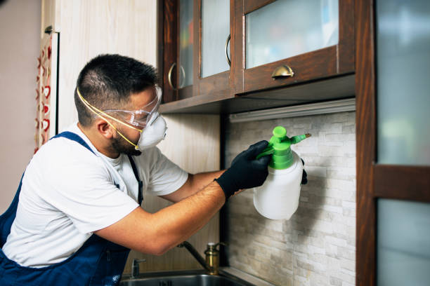 Best Affordable Pest Control Services  in Waldorf, MD