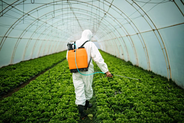 Best Mosquito Control Services  in Waldorf, MD