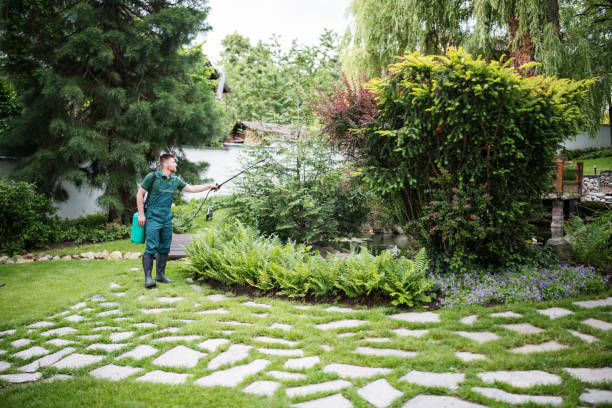 Best Wasp Removal Services  in Waldorf, MD