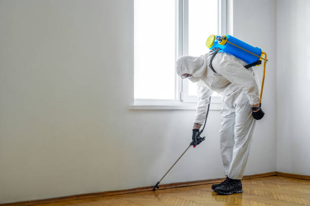 Best Local Pest Control Services  in Waldorf, MD