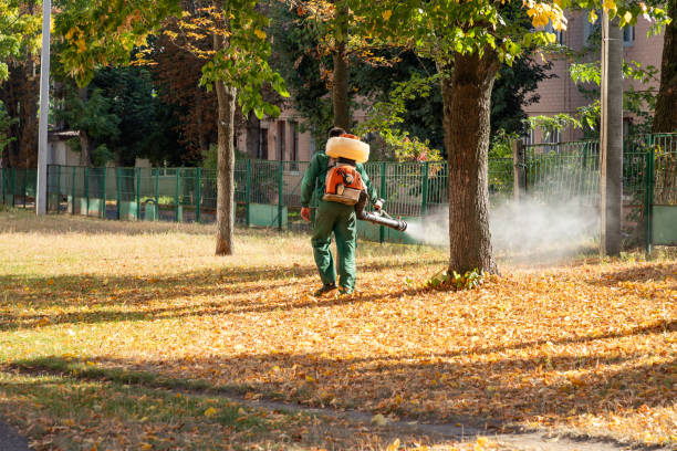 Best Rodent Control Near Me  in Waldorf, MD