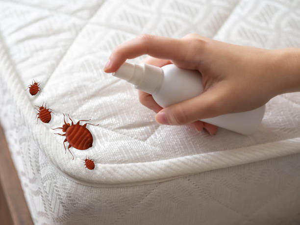 Best Pest Prevention Services  in Waldorf, MD