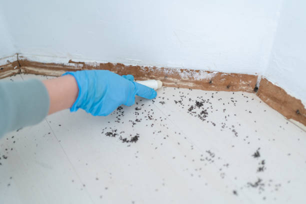 Best Commercial Pest Control Services  in Waldorf, MD
