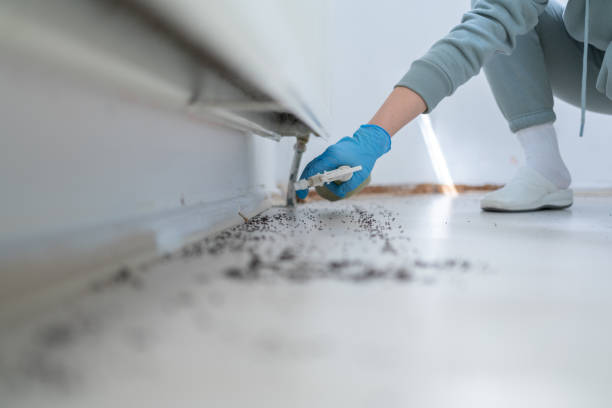 Best Pest Control for Homes  in Waldorf, MD